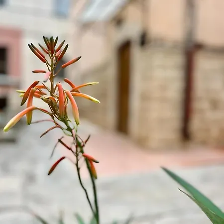 Light House Tatil Evi Bisceglie